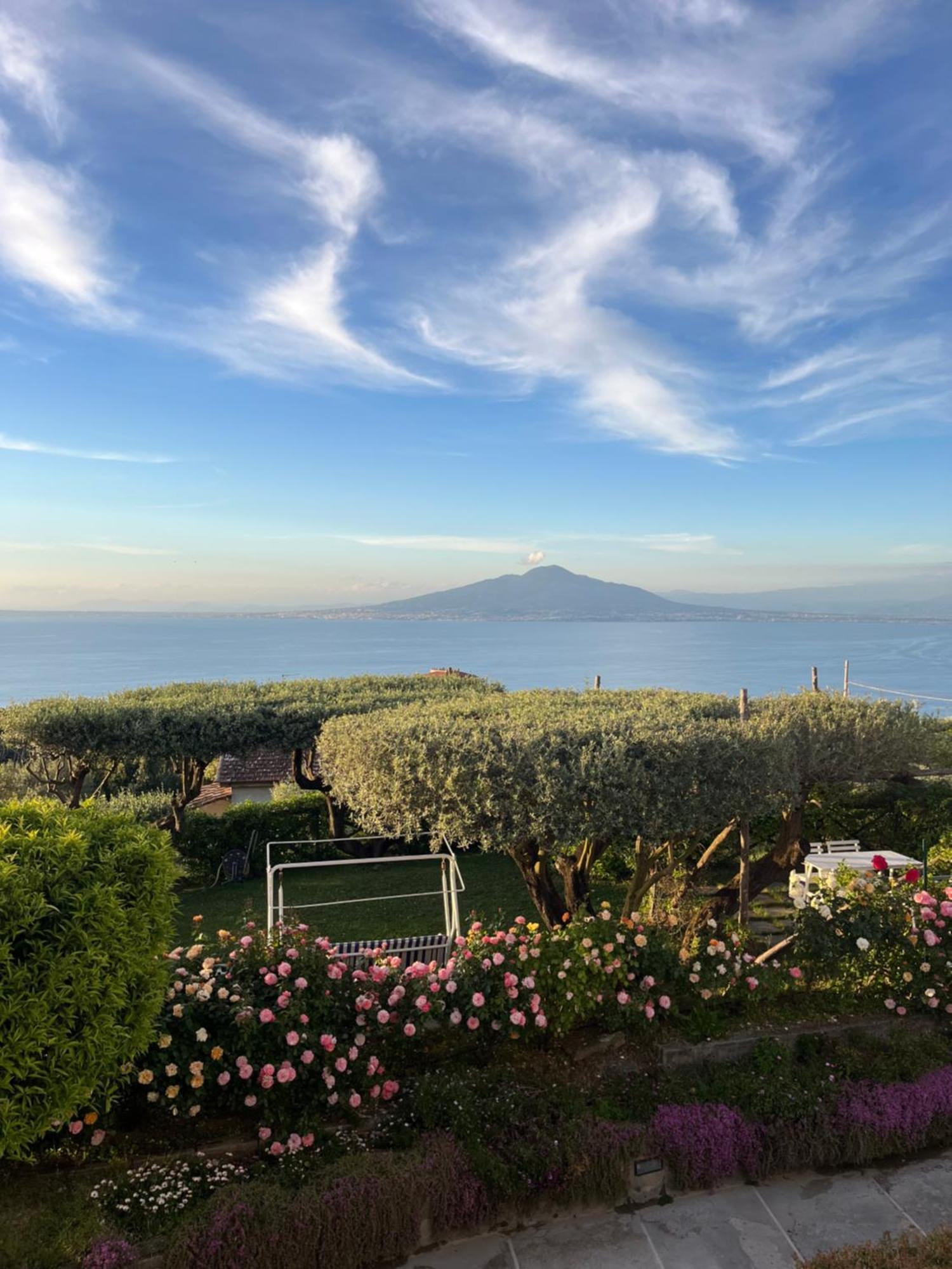 Sorrento Garden Hotel Ngoại thất bức ảnh