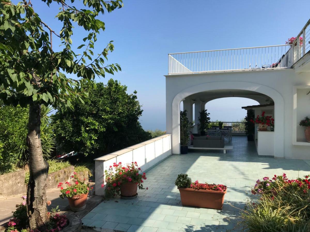 Sorrento Garden Hotel Ngoại thất bức ảnh