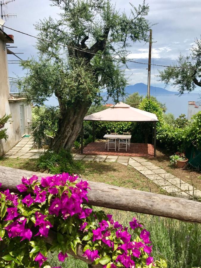 Sorrento Garden Hotel Ngoại thất bức ảnh